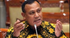 FIRLI BAHURI SYL (3)