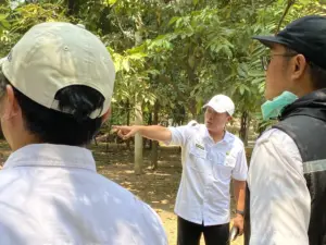 Kawasan Tegalega Berhasil Direlokasi