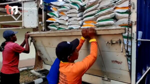 Harga Beras turun