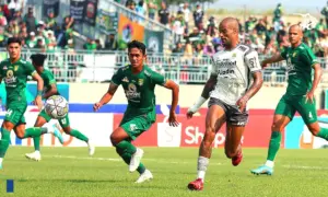 Bojan Hodak Persib