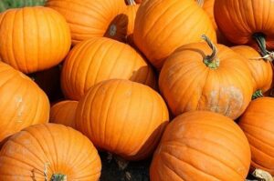 perayaan Halloween