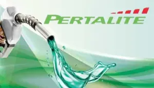 Pertalite Bakal Dibatasi