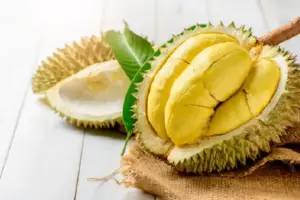 tempat makan durian