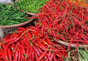 Harga Cabai Rawit Merah Meroket, Ini yang Dilakukan NFA