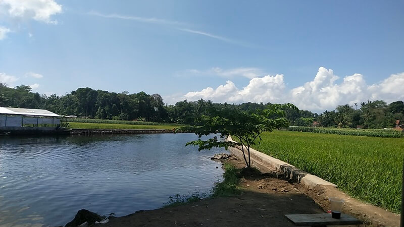 Mata Air Cikandung