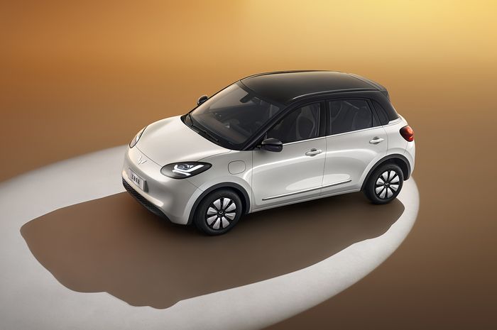 Wuling Bingo (2)