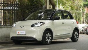 Wuling Bingo