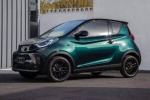 chery Little Ant