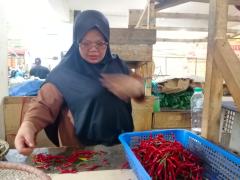 Harga Cabai