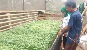 Kartu Tani Sibedas Kabupaten Bandung