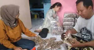OJK Penjaminan UMKM