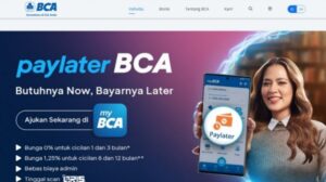 Bisnis Paylater