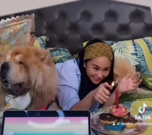 Anjing PeliharaanDenise Chariesta meninggal