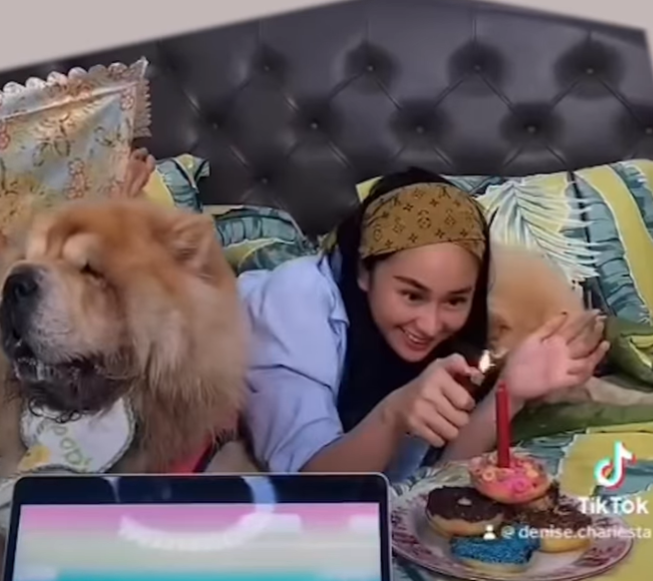 Anjing PeliharaanDenise Chariesta meninggal