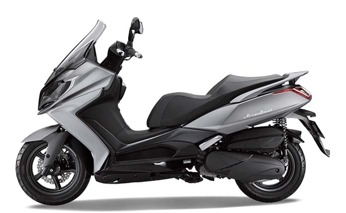 MOTOR MATIC 250 CC (2)