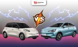 Wuling BinguoEV vs Neta V