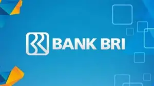 QLola by BRI solusi
