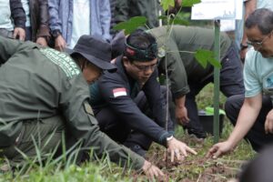 penanaman pohon kabupaten bandung