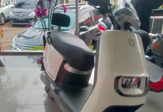 motor listrik yadea (20)