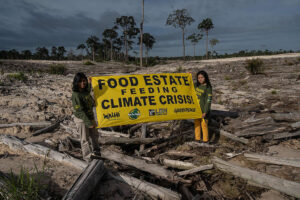 food estate