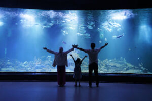 Aquarium Indonesia Pangandaran