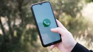 Channel WhatsApp