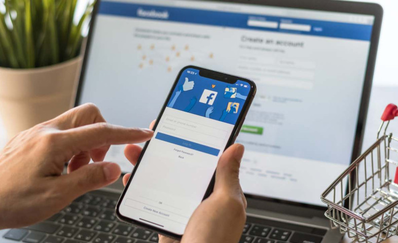 FB Pro-1