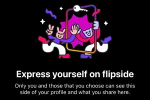 Flipside Instagram