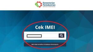 IMEI iPhone