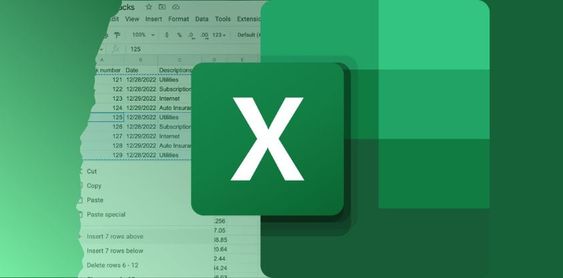 Microsoft Excel