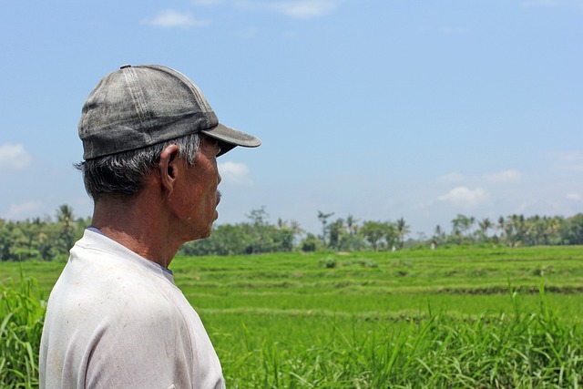 petani bekasi hutang