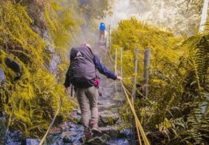 pendaki gunung pangrango