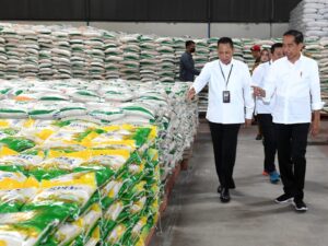 bantuan beras jokowi