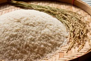 kelonjakan harga beras