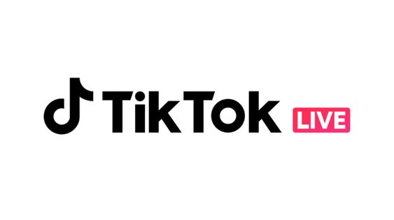 TikTok Fitur Sub Space