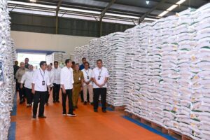 harga beras