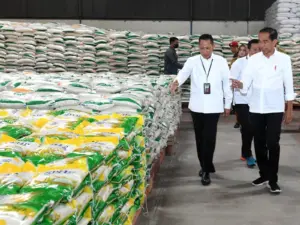 bantuan beras dihentikan