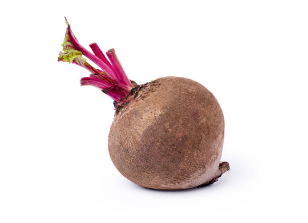 Buah bit