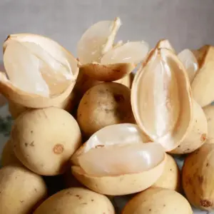 manfaat buah duku