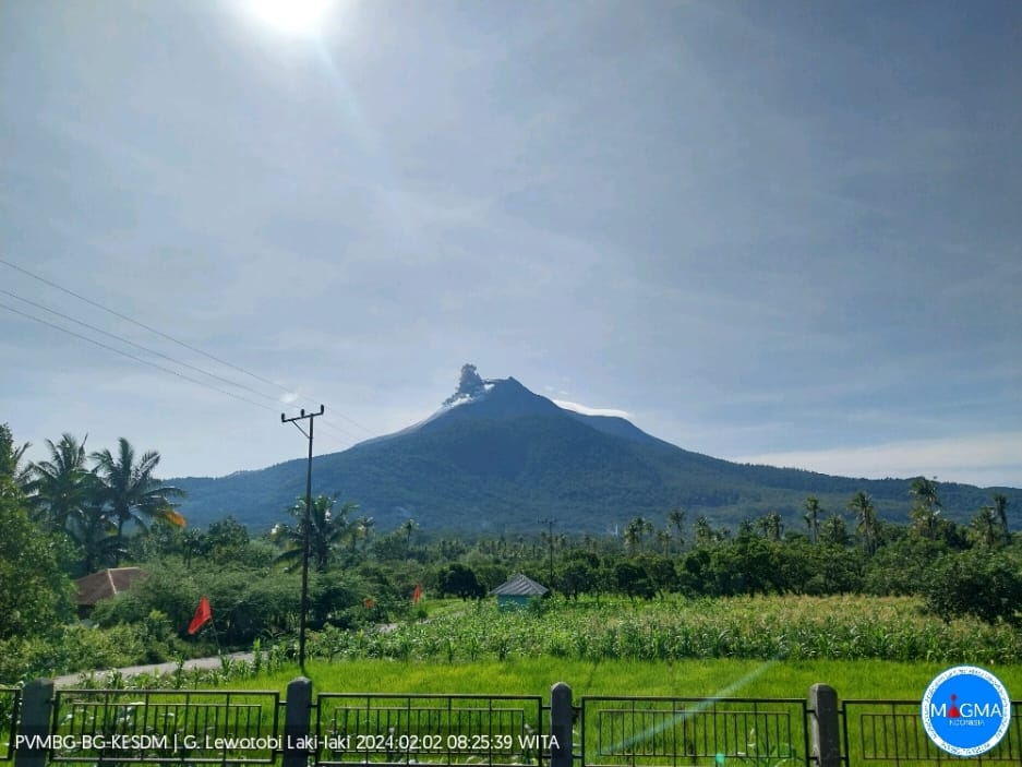 Gunung Lewotobi Laki-laki Erupsi