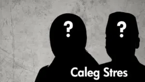 Caleg Stres, caleg depresi, Pileg 2024, Pemilu Legislatif 2024, gangguan jiwa,