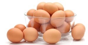 harga telur ayam
