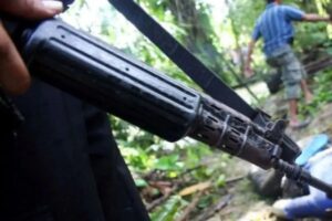 Pilot Australia dan 2 Penumpang Dibebaskan