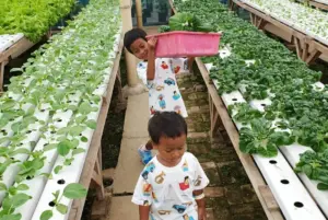 wisata lembang