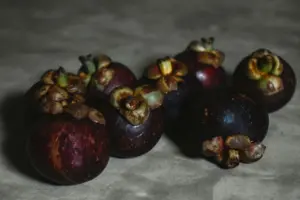 manfaat kulit Manggis