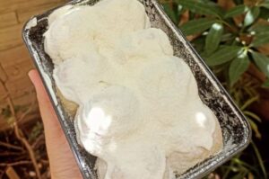 milk bun Thailand-4