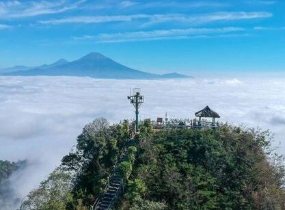 destinasi puncak suroloyo