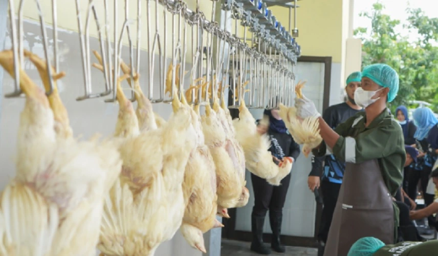 rumah potong hewan sertifikasi halal