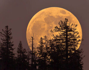 cari fakta tentang bulan, supermoon