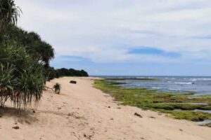 Wisata Kelas Premium